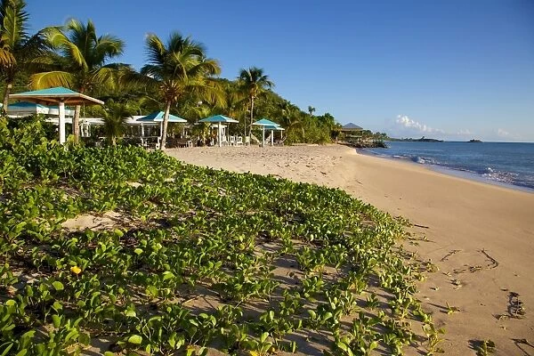Turners Beach, St. Mary, Antigua, Leeward Islands, West Indies, Caribbean, Central America
