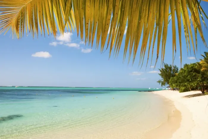 Framed Print : Turquoise sea and white palm fringed beach, Le Morne, Black River, Mauritius, Indian Ocean