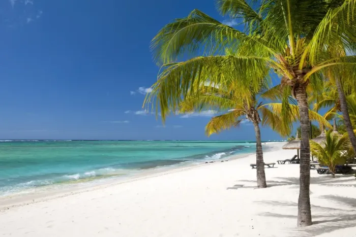 Framed Print : Turquoise sea and white palm fringed beach, Le Morne, Black River, Mauritius, Indian Ocean Framed Print : Turquoise sea and white palm fringed beach, Le Morne, Black River, Mauritius, Indian Ocean