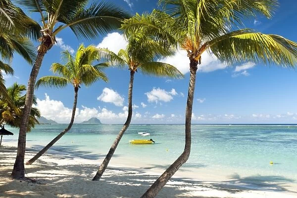 Turquoise sea and white palm fringed beach at Wolmar, Black River, Mauritius, Indian Ocean