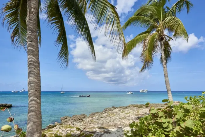Framed Print : Turquoise water framed by coconut trees, in George Town, Cayman Islands, West Indies Framed Print : Turquoise water framed by coconut trees, in George Town, Cayman Islands, West Indies