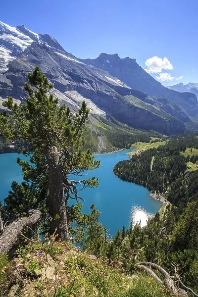 The turquoise water of Lake Oeschinensee, Bernese Oberland, Kandersteg, Canton of Bern