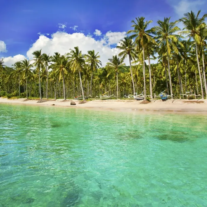 Framed Print : Turquoise water and palm trees lining Nippah Beach, Indonesia, Southeast Asia, Asia Framed Print : Turquoise water and palm trees lining Nippah Beach, Indonesia, Southeast Asia, Asia