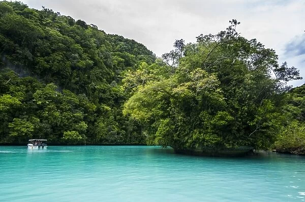 Turquoise waters in the Rock islands, Palau, Central Pacific, Pacific