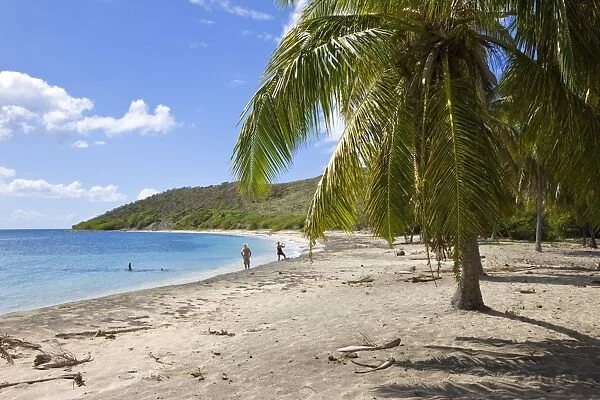 Turtle Beach on the southeast peninsula, St. Kitts, Leeward Islands, West Indies