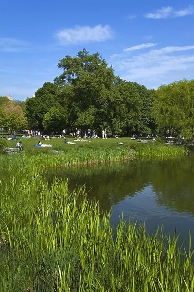 Turtle Pond area in Central Park, New York City, New York, United States of America
