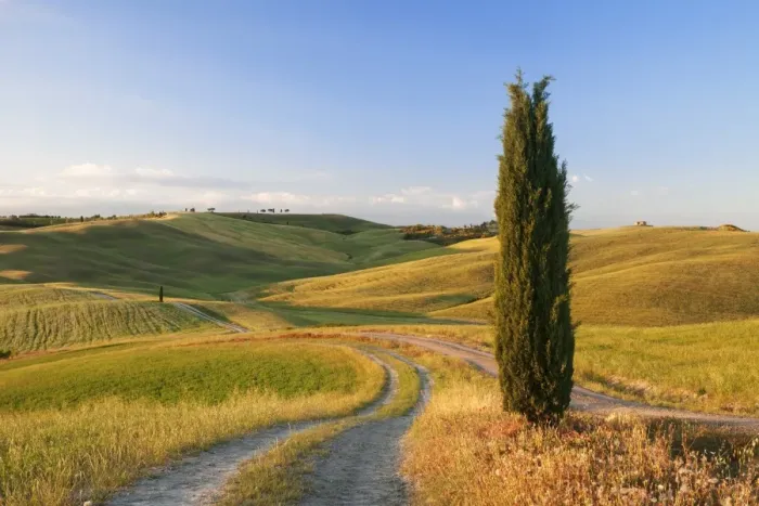Framed Print : Tuscan landscape with cypress tree, near San Quirico, Val d Orcia (Orcia Valley) Framed Print : Tuscan landscape with cypress tree, near San Quirico, Val d Orcia (Orcia Valley)