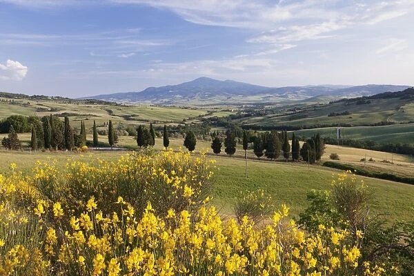 Tuscan landscape with Monte Amiata, near Pienza, Val d Orcia (Orcia Valley), UNESCO