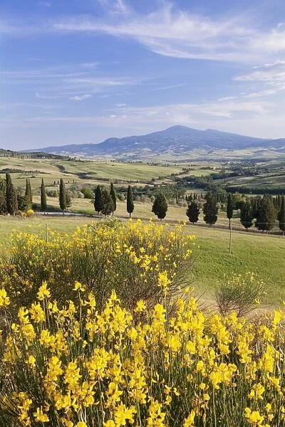 Tuscan landscape with Monte Amiata, near Pienza, Val d Orcia (Orcia Valley), UNESCO