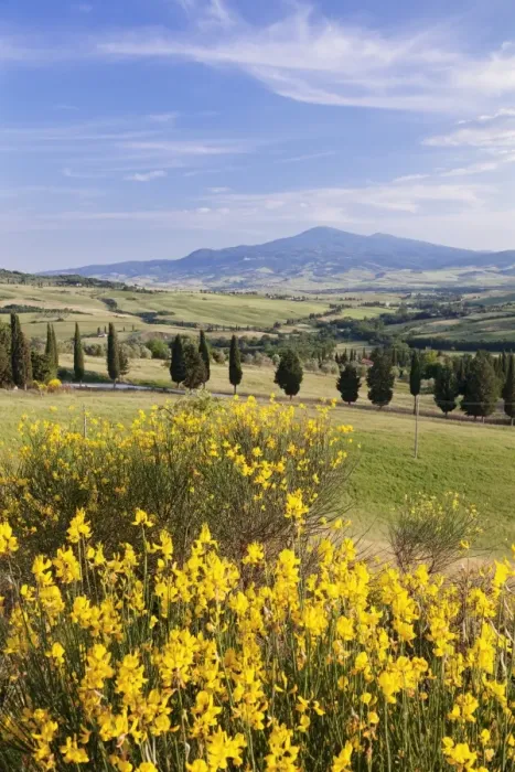 Framed Print : Tuscan landscape with Monte Amiata, near Pienza, Val d Orcia (Orcia Valley), UNESCO Framed Print : Tuscan landscape with Monte Amiata, near Pienza, Val d Orcia (Orcia Valley), UNESCO