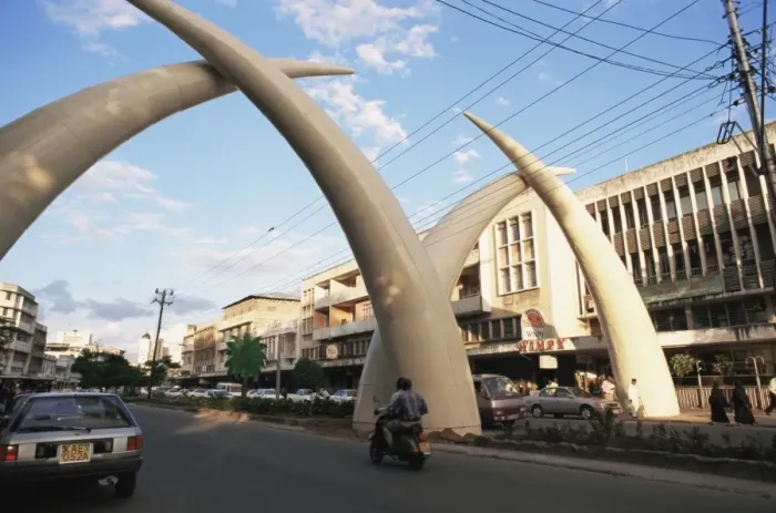 Framed Print : Tusks, Moi Avenue Framed Print : Tusks, Moi Avenue