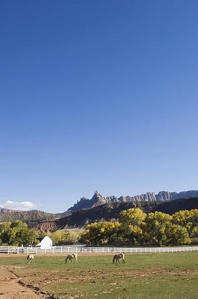 _TUW7097. Landscape near Zion National Park, Utah, United States of America, North America