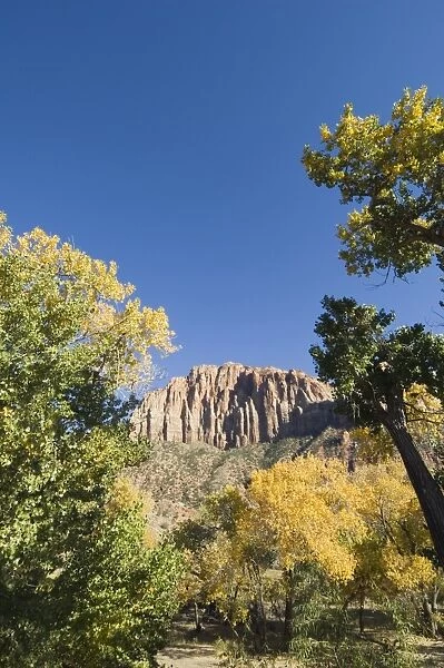 _TUW7107. Landscape near Zion National Park, Utah, United States of America, North America