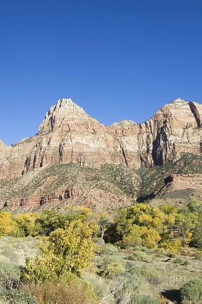 _TUW7115. Landscape near Zion National Park, Utah, United States of America, North America