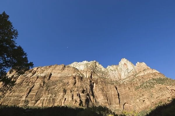_TUW7190. Zion National Park, Utah, United States of America, North America