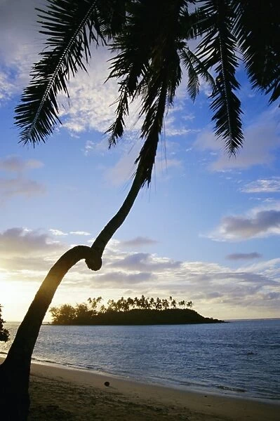 Twisted palm tree, Taakoka Island, Rarotonga, Cook Islands, Polynesia, South Pacific islands