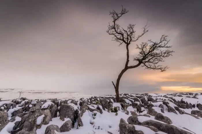 Framed Print : Twistleton Scar End in snow, Ingleton, Yorkshire Dales, Yorkshire, England, United Kingdom Framed Print : Twistleton Scar End in snow, Ingleton, Yorkshire Dales, Yorkshire, England, United Kingdom