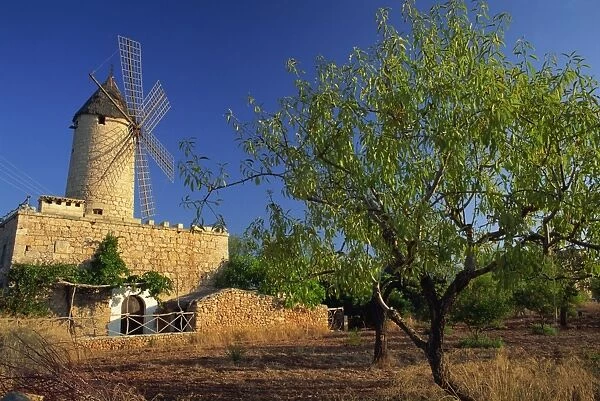 Typical agricultural windmill