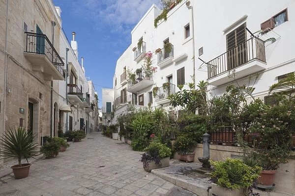 Typical alley and houses of the old town, Polignano a Mare, Province of Bari, Apulia