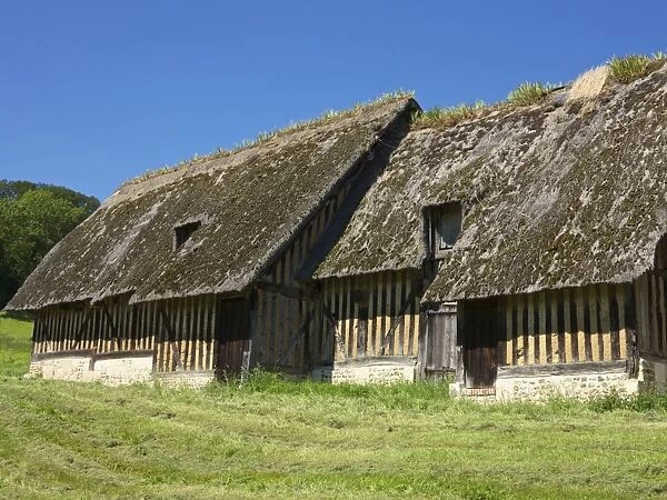 Typical ancient thatched and half timbered farm buildings in a meadow, Pierrefitte en Auge, Calvados, Normandy, France, Europe
