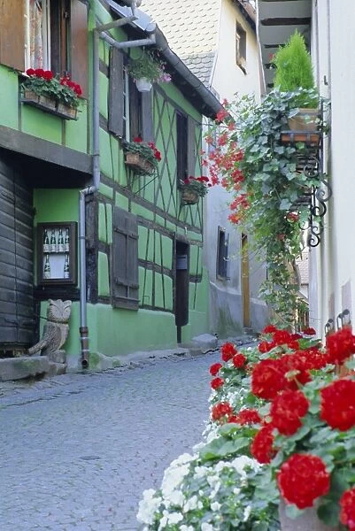 Typical green timbered house and windowboxes, Riquewihr, Haut-Rhin, Alsace