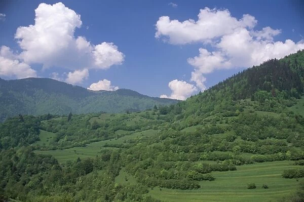 Typical hilly landscape