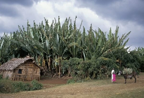 Typical house, southern Ethiopia, Ethiopia, Africa