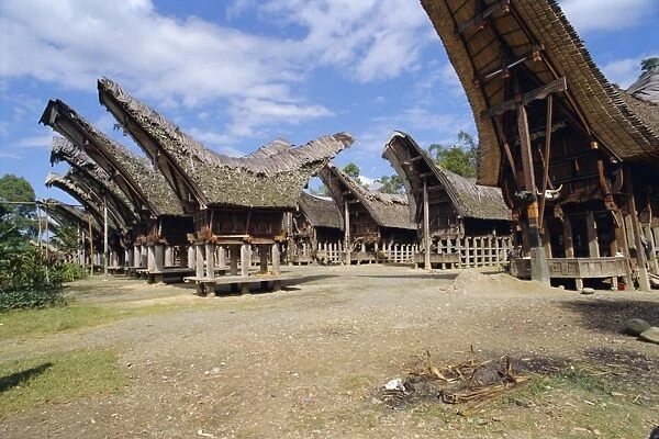 Typical houses and granaries