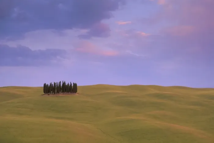 Framed Print : Typical landscape Framed Print : Typical landscape