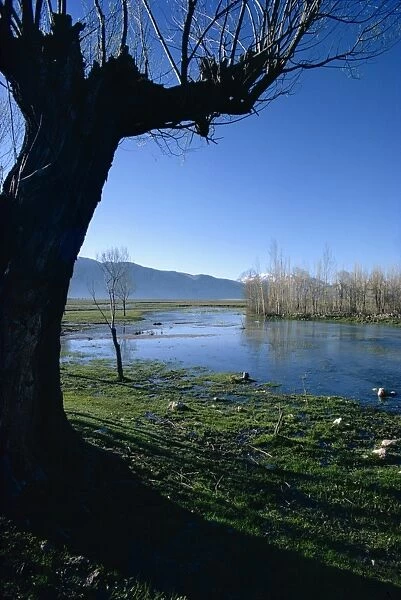 Typical landscape near Shiraz