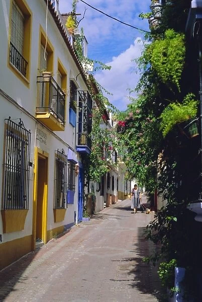 Typical Old Town Street