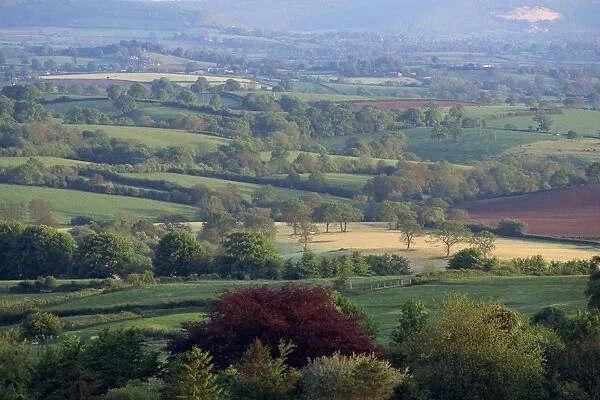 Typical patchwork fields, Dorset, England, United Kingdom, Europe
