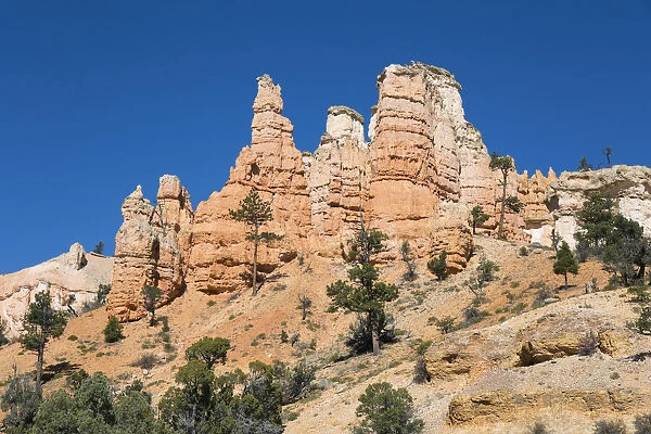 Typical rock hoodoos towering above the Mossy Cave Trail, Water Canyon