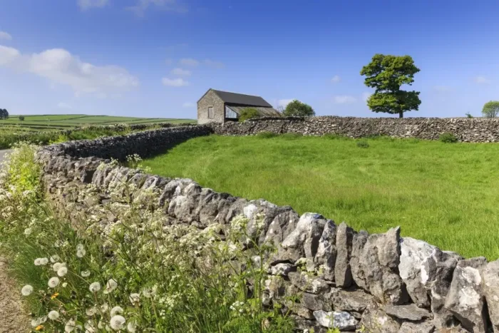 Framed Print : Typical spring landscape of country lane, dry stone walls, tree and barn, May, Litton Framed Print : Typical spring landscape of country lane, dry stone walls, tree and barn, May, Litton