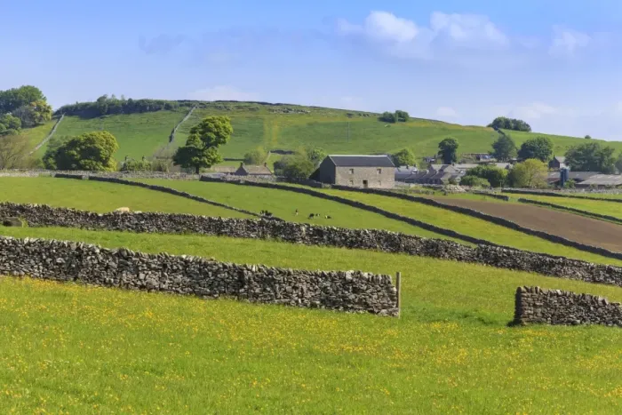 Framed Print : Typical spring landscape of village, cattle, fields, dry stone walls and hills, May Framed Print : Typical spring landscape of village, cattle, fields, dry stone walls and hills, May