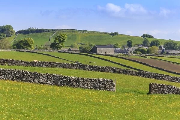Typical spring landscape of village, cattle, fields, dry stone walls and hills, May