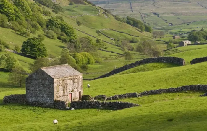 Framed Print : Typical stone barns near Keld in Swaledale, Yorkshire Dales National Park Framed Print : Typical stone barns near Keld in Swaledale, Yorkshire Dales National Park