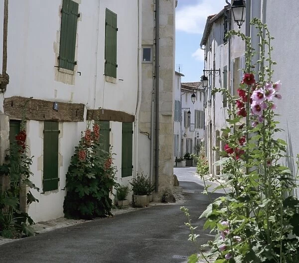 Typical street scene with Hollyhocks, St. Martin, Ile de Re, Poitou-Charentes, France, Europe