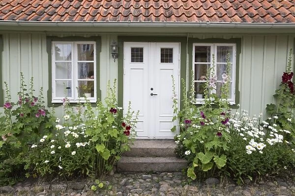 Typical Swedish cottage facade with hollyhocks, Arild, Kulla Peninsula, Skane, South Sweden