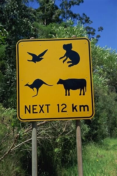 Typical traffic sign, Australia, Pacific