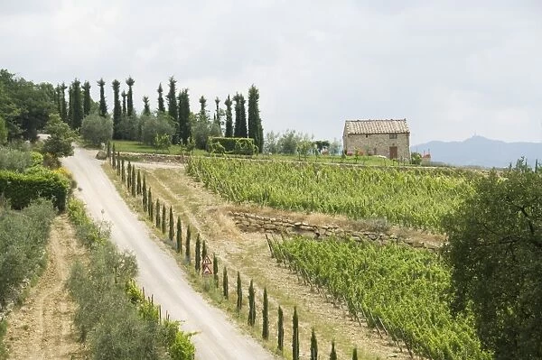 Typical view of the Tuscan landscape