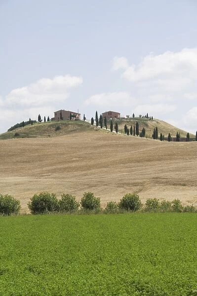 Typical views of the Tuscan landscape