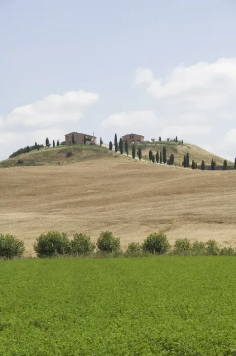 Framed Print : Typical views of the Tuscan landscape Framed Print : Typical views of the Tuscan landscape