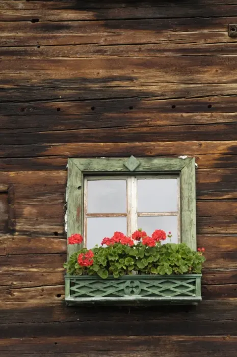 Framed Print : Typical window box, Otztal valley, Tyrol, Austria, Europe Framed Print : Typical window box, Otztal valley, Tyrol, Austria, Europe