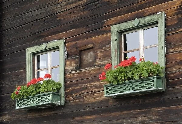 Typical window box, Otztal valley, Tyrol, Austria, Europe