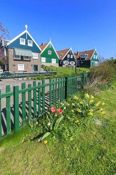Typical wooden houses framed by meadows and flowers in the village of Marken, Waterland