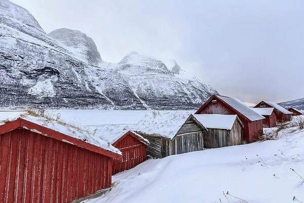 Typical wooden huts in the snowy landscape of Lyngseidet, Lyngen Alps, Tromso Lapland