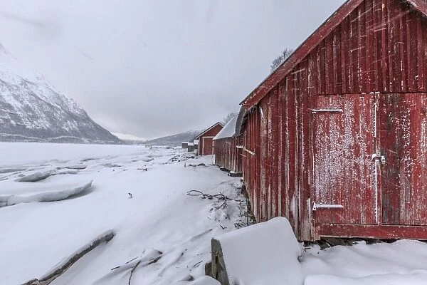 Typical wooden huts in the snowy landscape of Lyngseidet, Lyngen Alps, Tromso Lapland