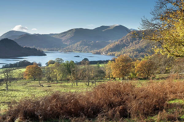 Ullswater from Park Brow near Aira Force, Lake District National Park, UNESCO World Heritage Site, Cumbria, England, United Kingdom, Europe