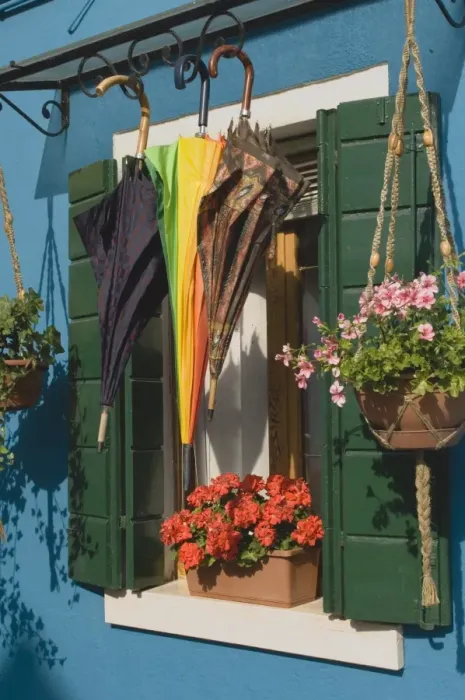 Framed Print : Umbrellas drying outside window with geranium pots Framed Print : Umbrellas drying outside window with geranium pots